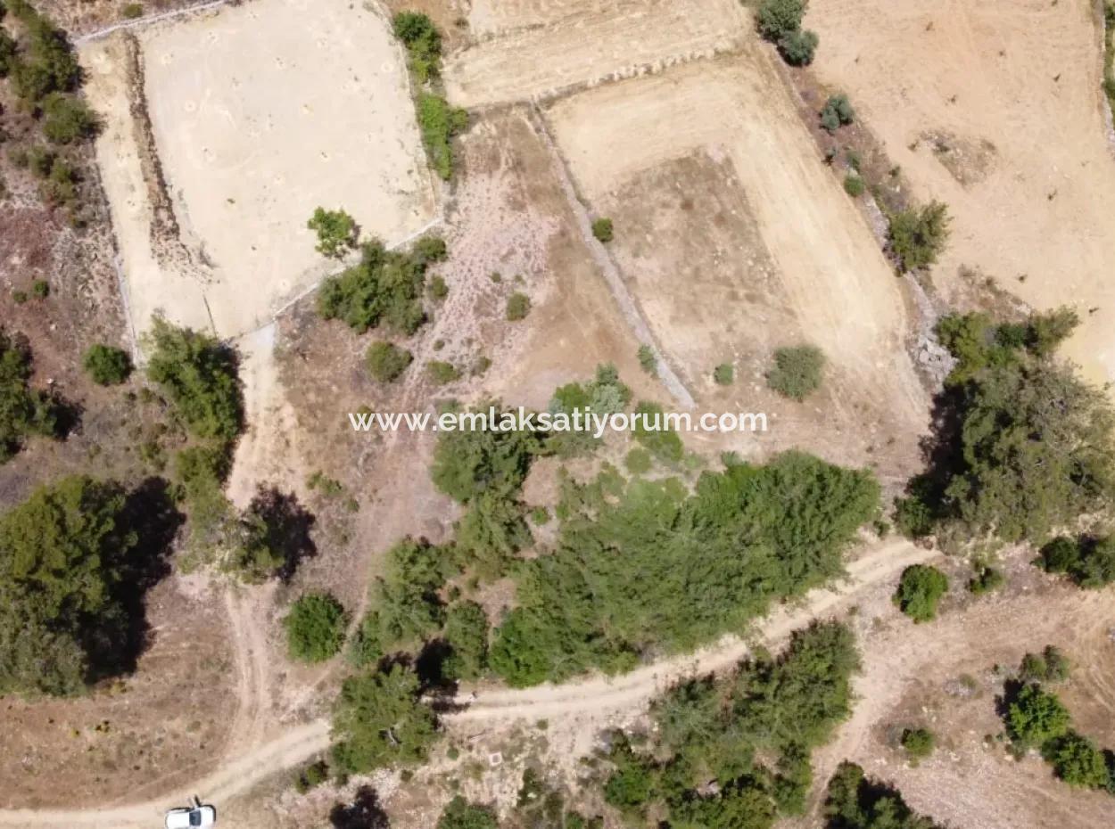 3031 M2 Detached Field For Sale In Mugla Menteşe Denizova