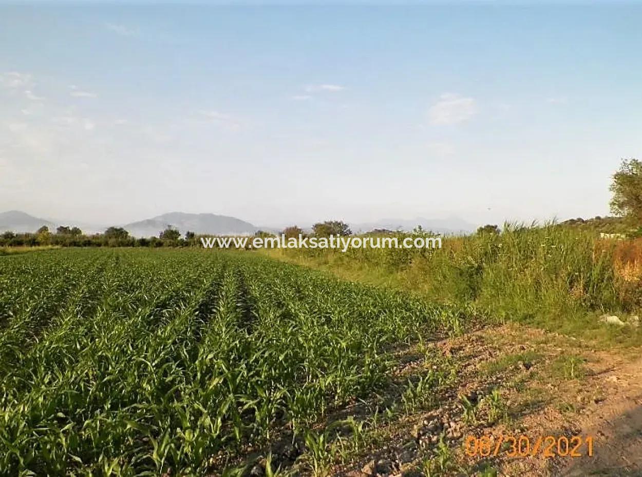 10 000 M2 Fertile Land For Sale In Mugla Ortaca Mergenli