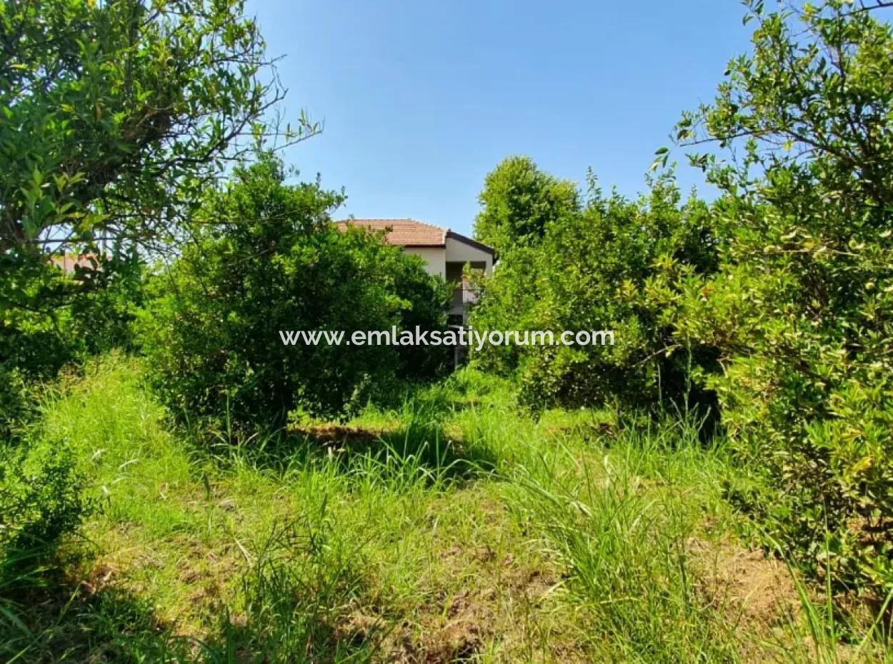 1063 M2 Zoning Land For Sale In Mugla Ortaca Dikmekavak Neighborhood