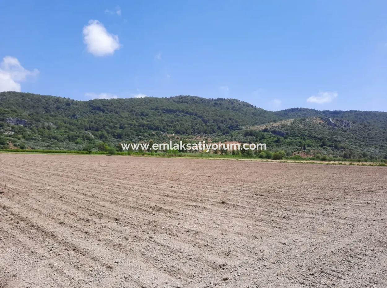 Fertile Land For Rent In Ortaca Güzelyurt