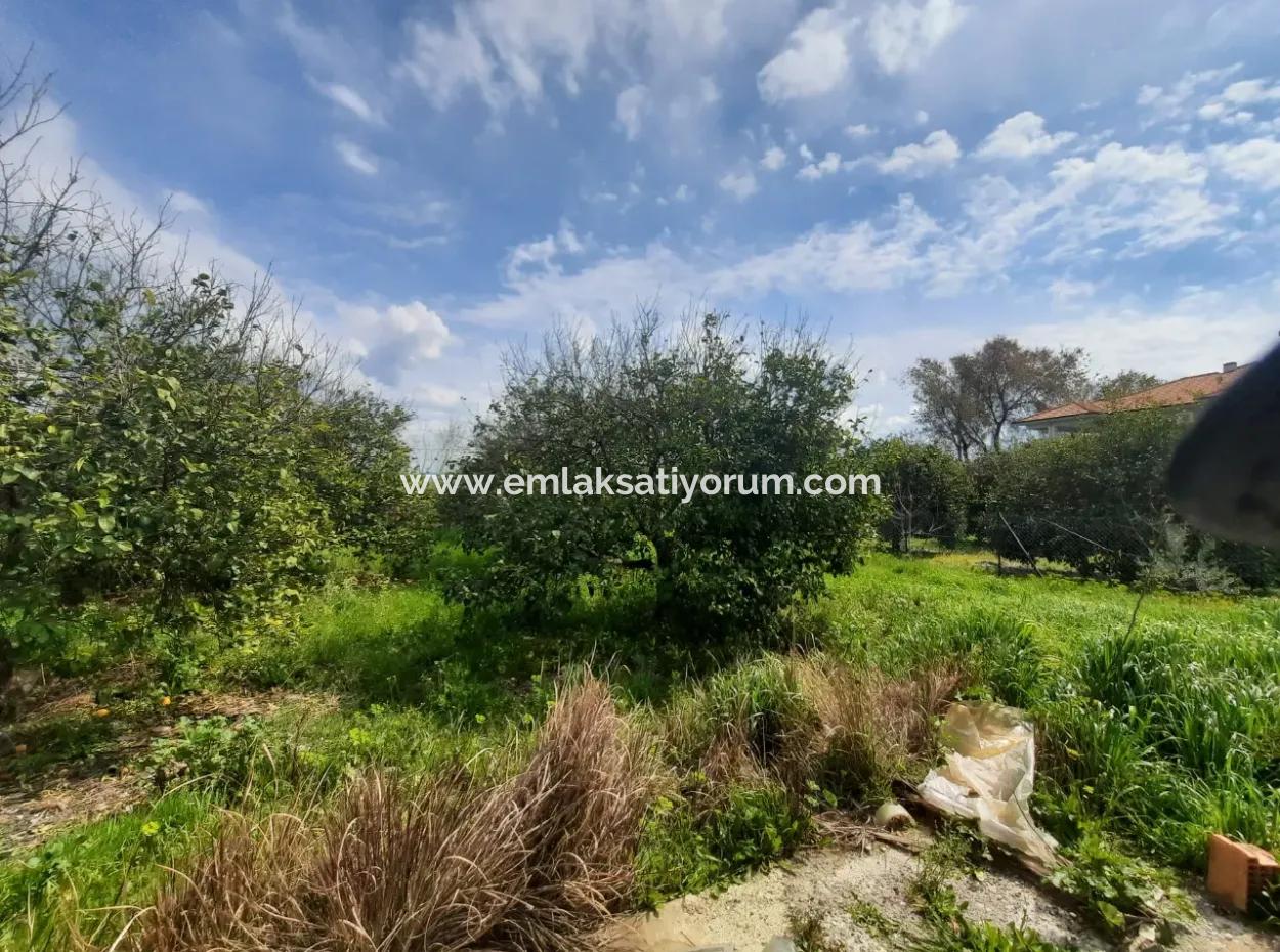 1703 M2 % 30/60 Zoning Land For Sale In Mugla Ortaca Center