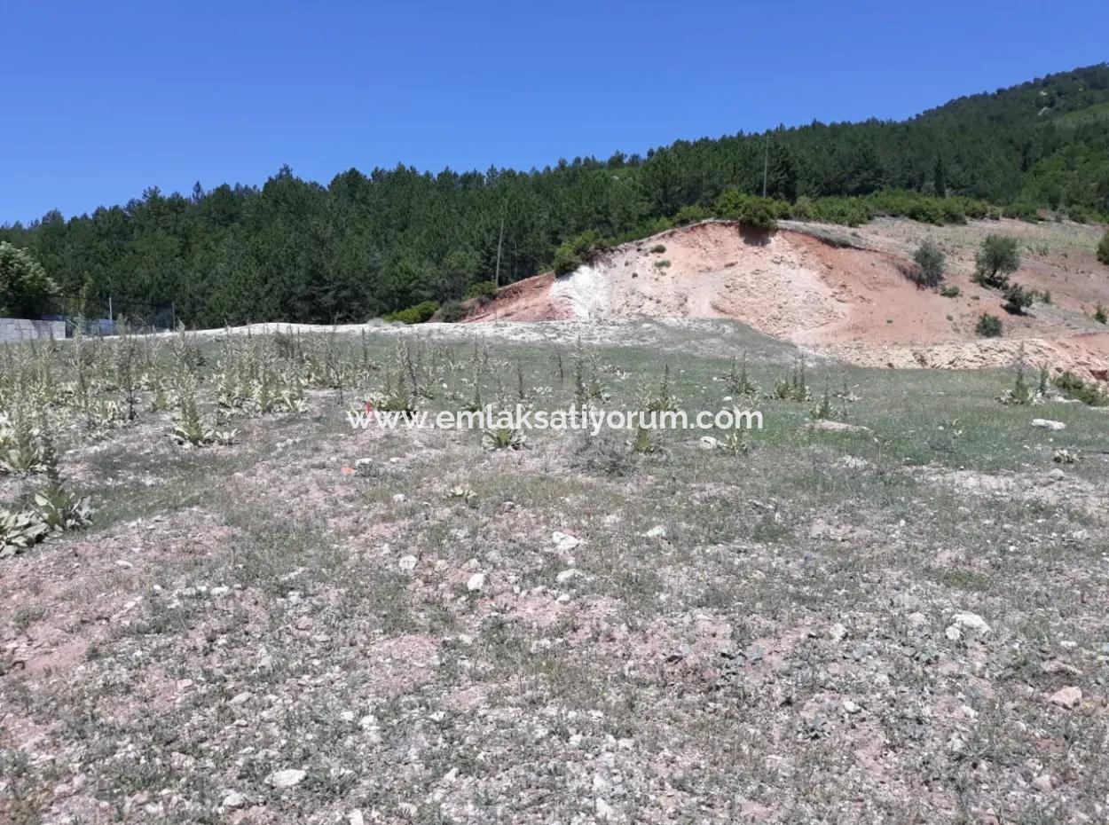 Denizli -Çameli- Belevi Mah. Highway Side 500 M2 Zoned Land For Sale