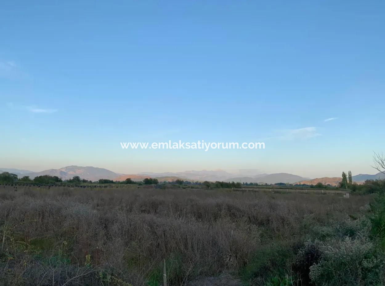 26.200 M2 Detached Field And 3.000 M2 200 Avocados For Sale In Ortaca Güzelyurt