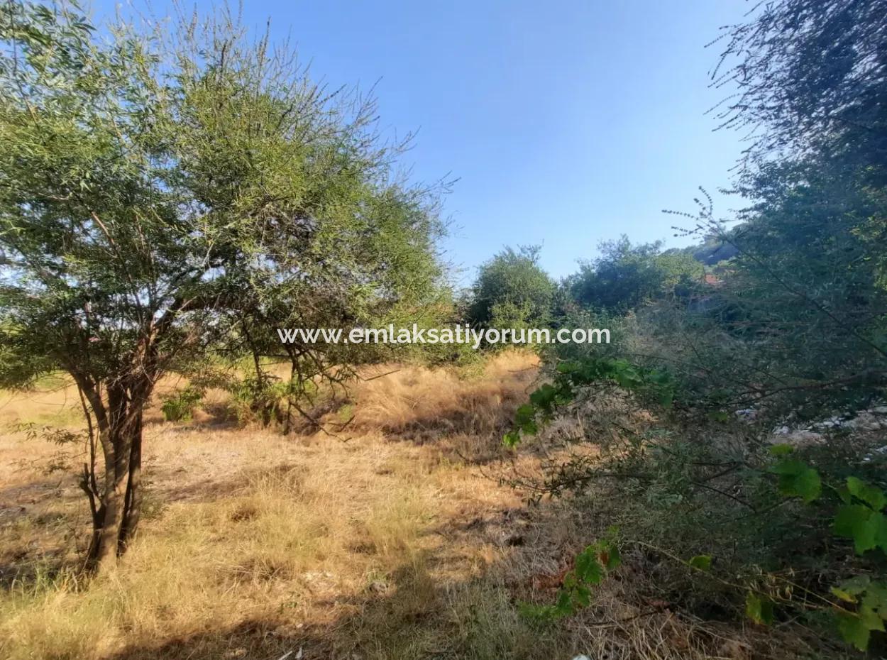 Ortaca Sarıgermede Center 400 M2 Residential Land For Sale