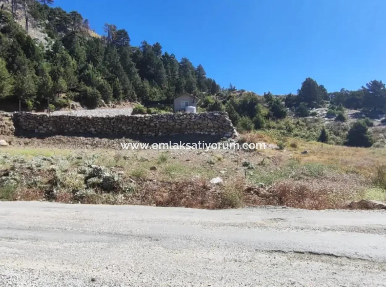 1.522M2 Field For Sale In Çövenli Plateau Of Muğla Köyceğiz Sazak Region