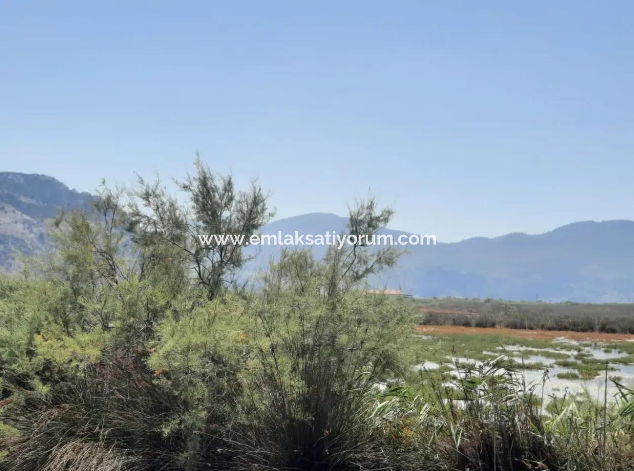 17,513 M2 Detached Land For Sale In Ortaca Dalyan, Muğla