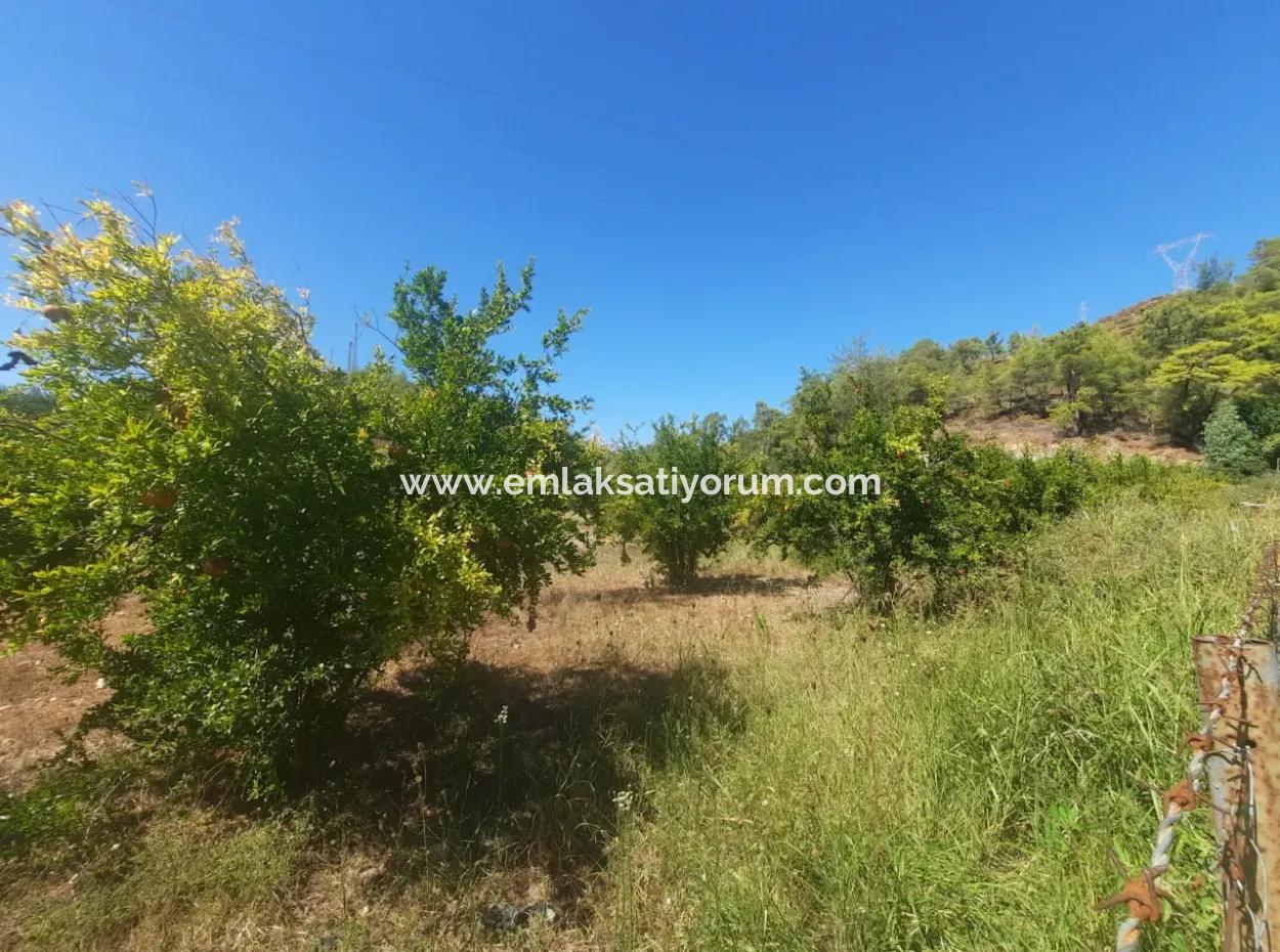 Muğla Ortaca Çaylıda 600 M2 Residential Zoned Bargain Land For Sale