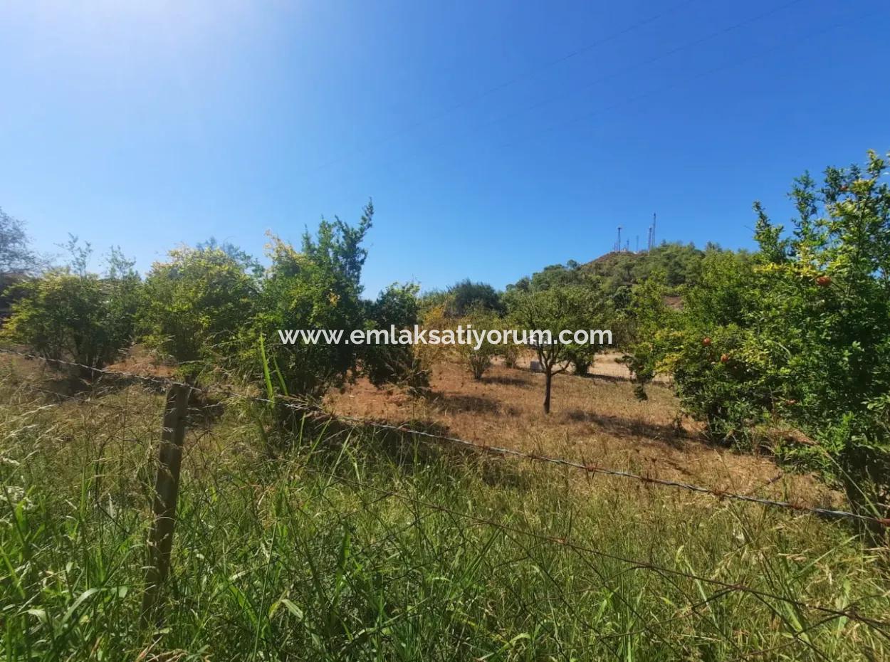 Muğla Ortaca Çaylıda 600 M2 Residential Zoned Bargain Land For Sale