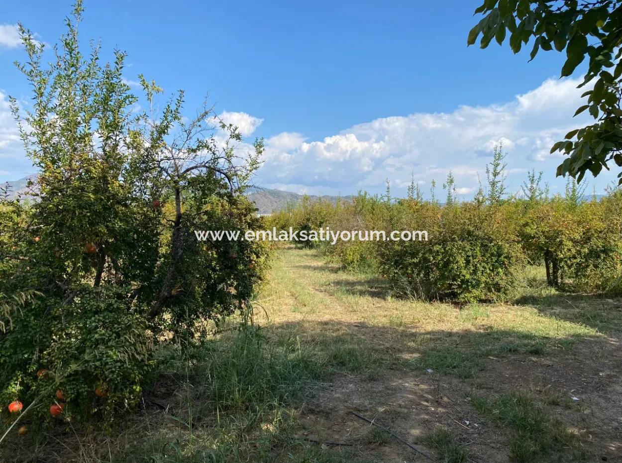 Ortaca Karaburunda 2888M2 Field For Sale