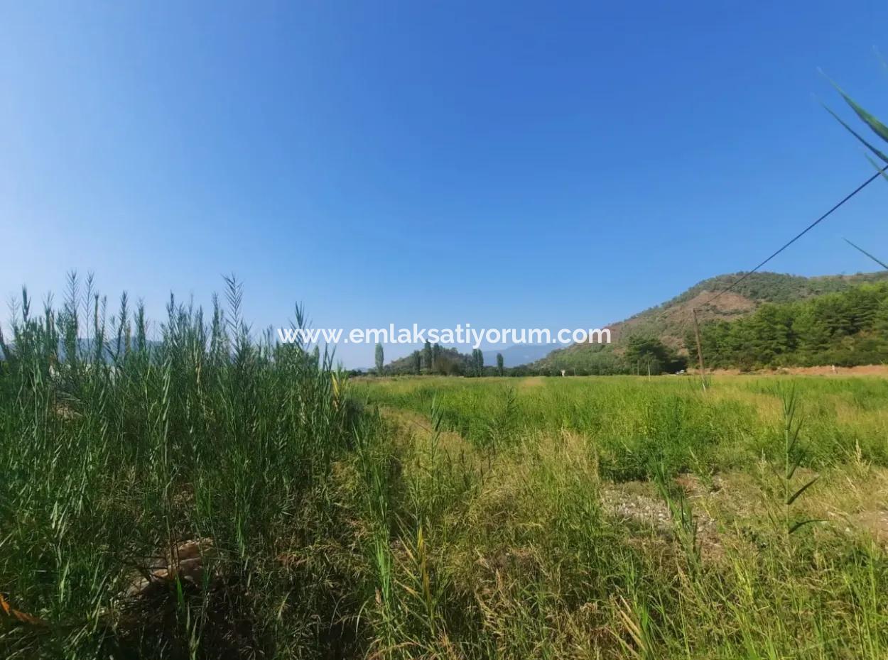 16.373 M2 Fertile Land For Sale In Muğla Ortaca Ekşiliyurt