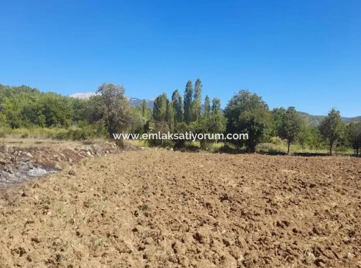 Denizli Beyağaç Sazak 317 M2 Detached Land With Title Deed Zoning For Sale