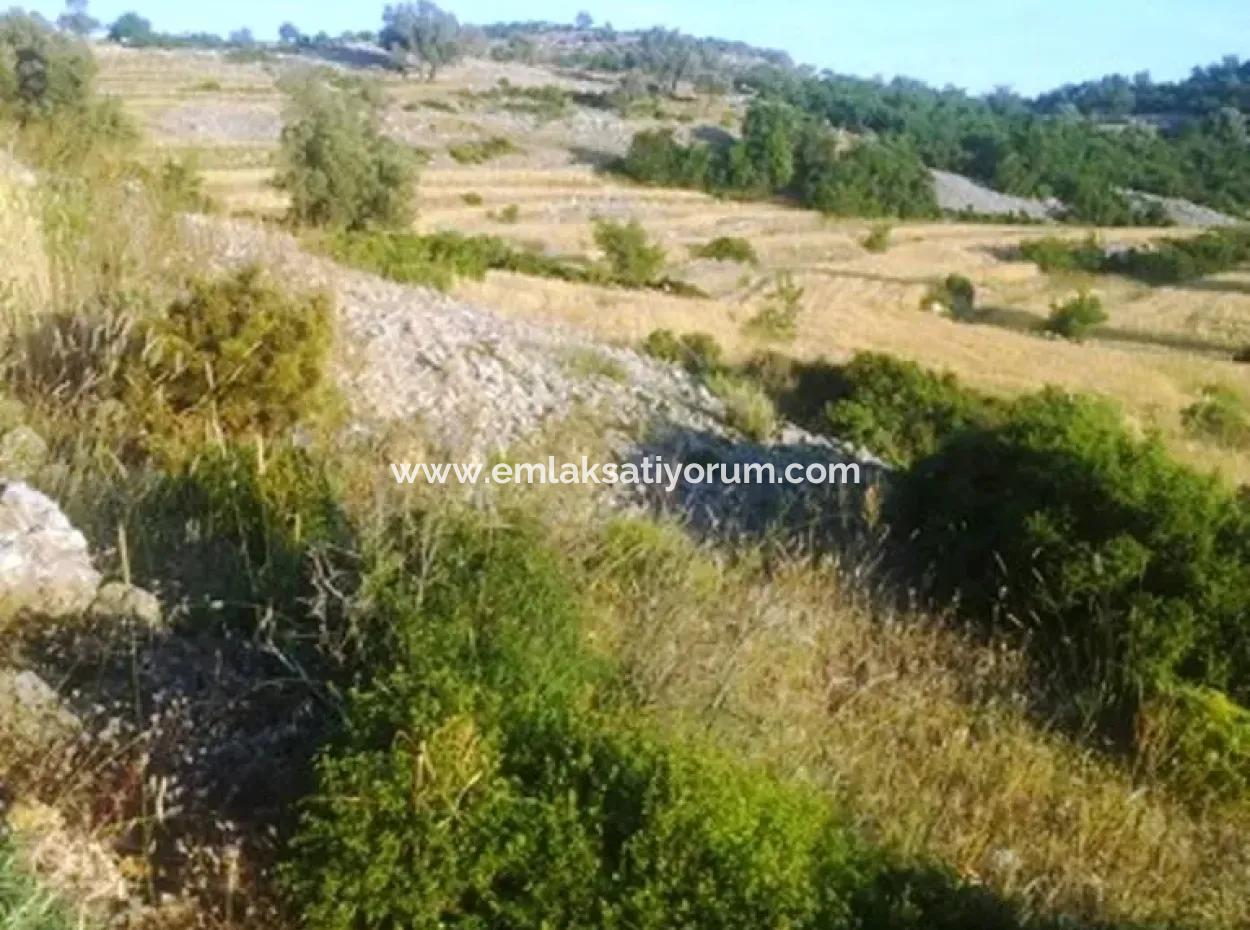 Land With Sea View For Sale At Boğaziçi Seydikemer