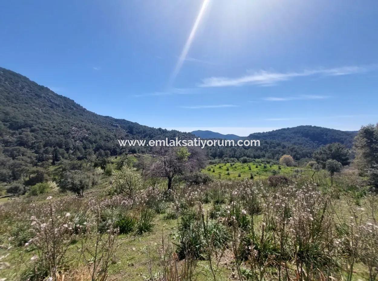 Ortaca Gökbelde Detached 12 132M2 Bargain Land In Nature For Sale