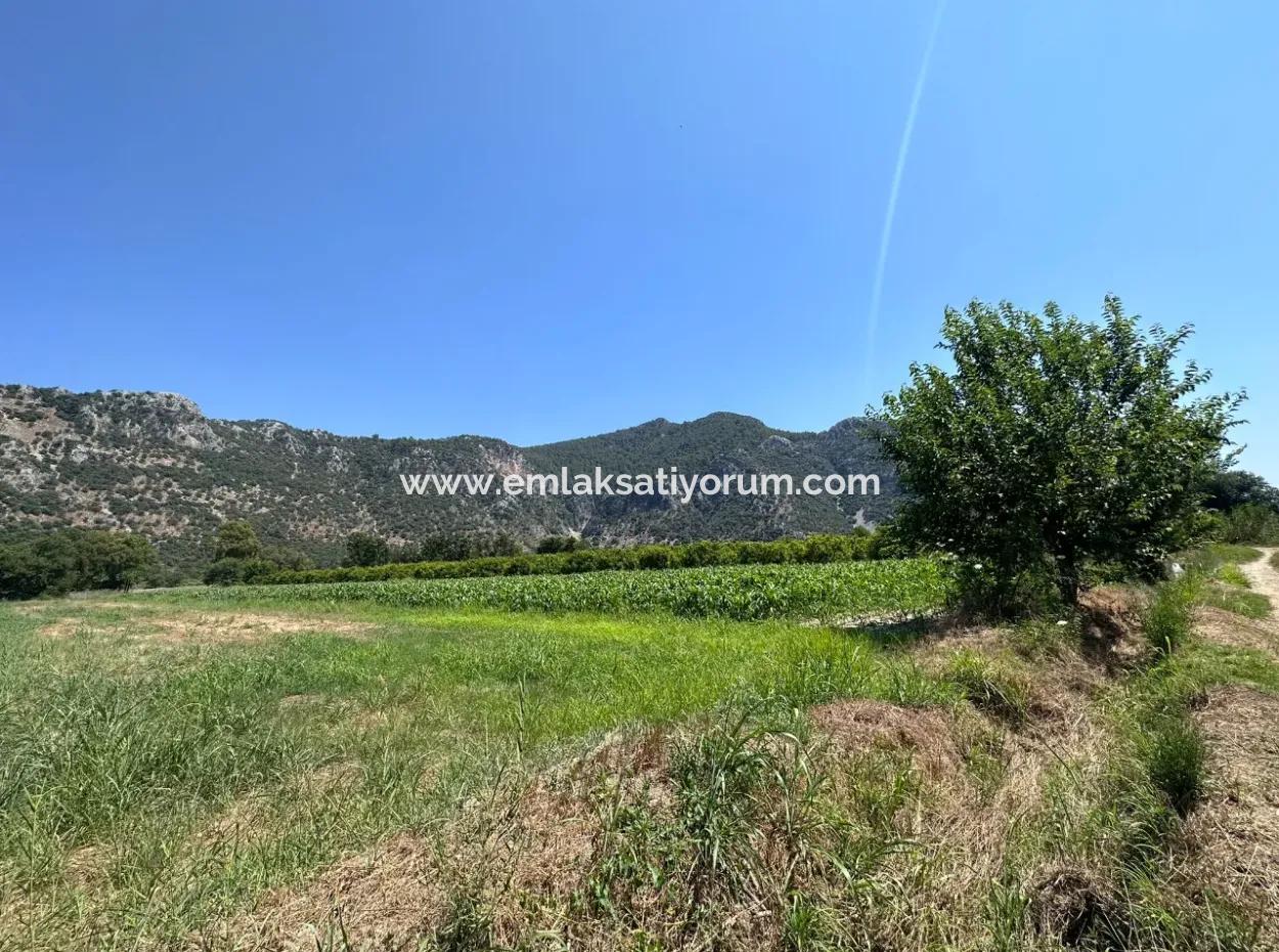 970 M2 Rızai Taksimli Share For Sale In Dalyan