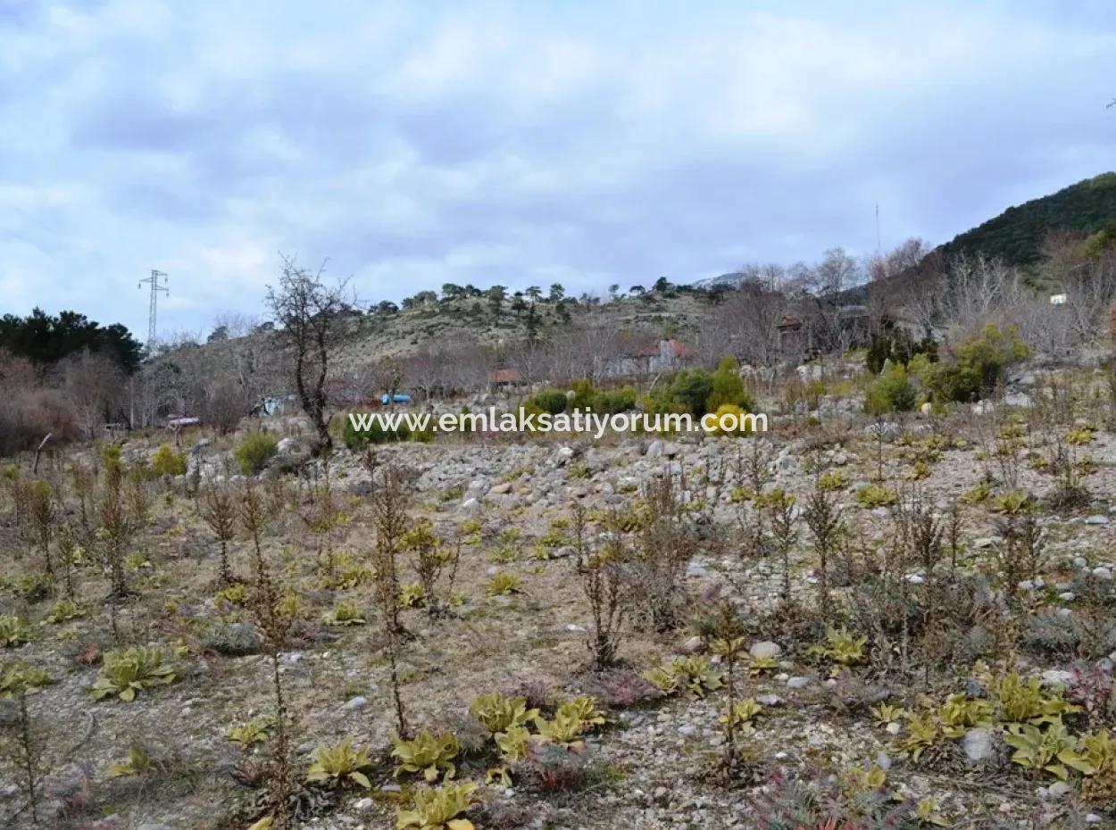 Fethiye, Nifte, 2 000 M2, Detached For Sale, Bargain Land