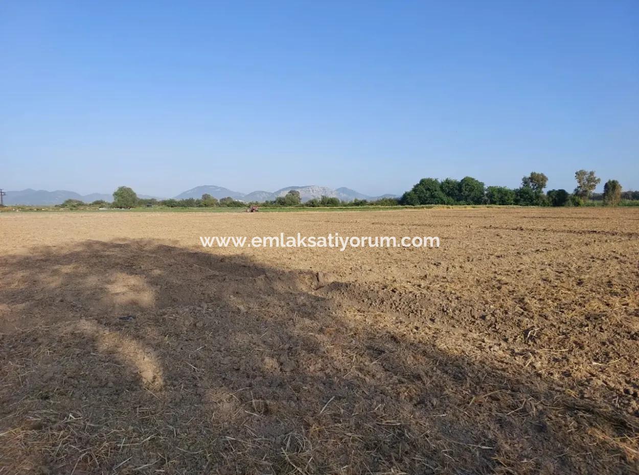 500 M2 Land With Bargain Detached Title Deed For Sale In Muğla Ortaca Fevziye.