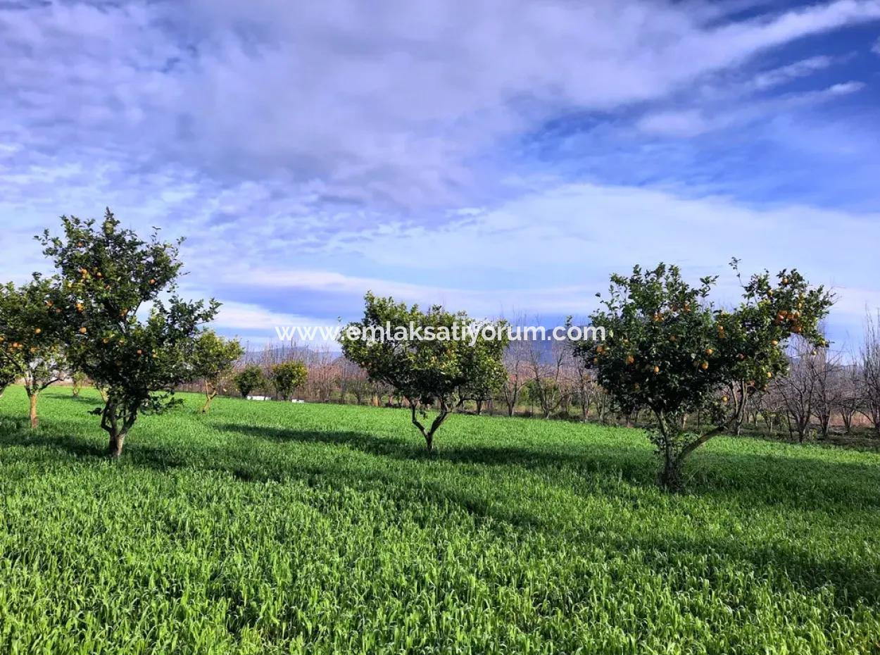 1500 M2 Detached Land In Nature For Sale In Ortaca Okçular