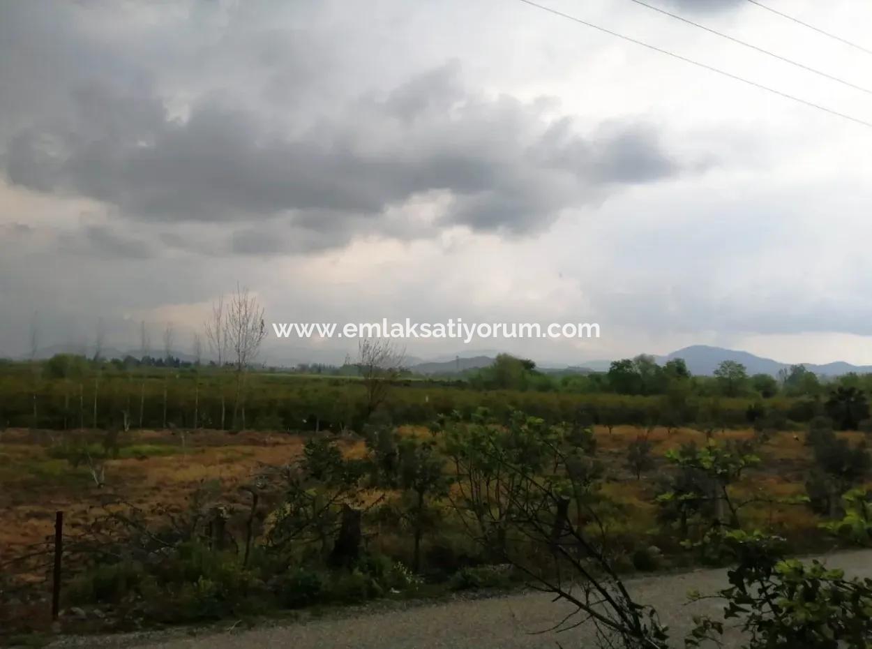 Güzelyurt For Sale Landscaped Gardens Pomegranate Ta