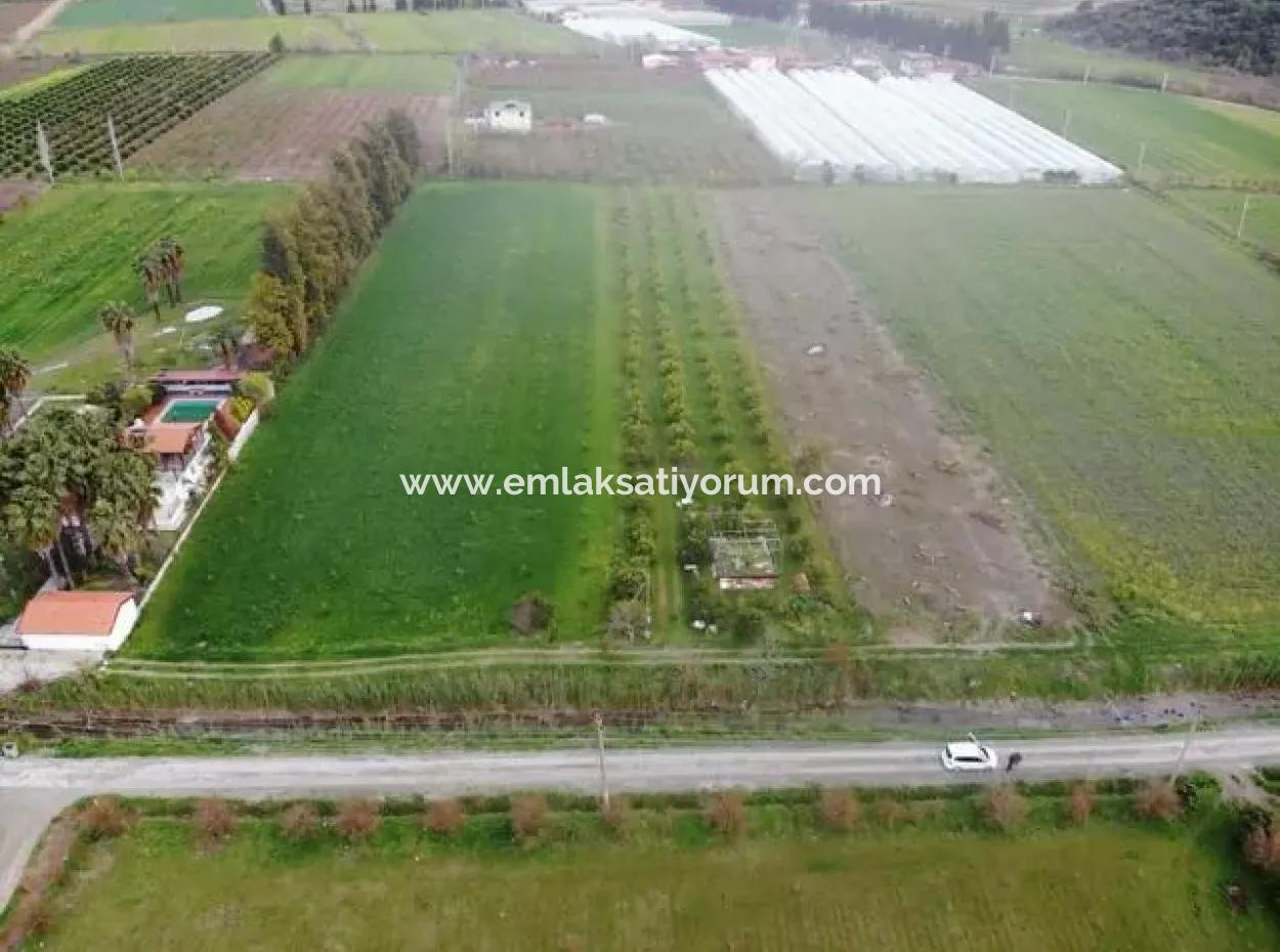 4100M2 Field For Sale Close To Lake In Dalyanda, Muğla