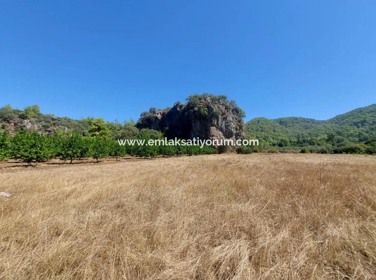 4.427 M2 Fertile Land With Mountain And Nature View In Ortaca Okçular For Sale