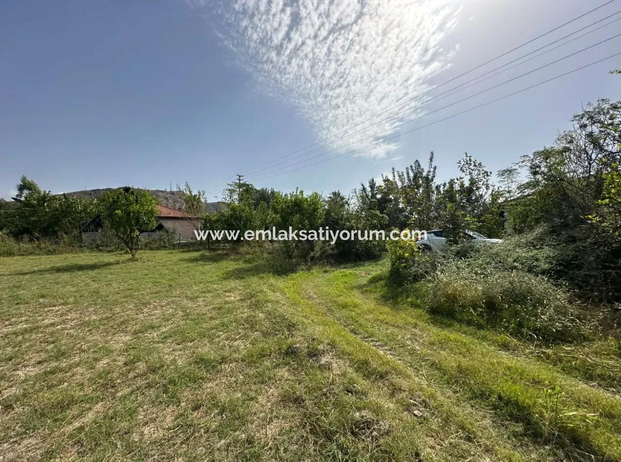 Ortaca Mergenlide Detached Title Deed 11.000 M2 Bargain Land For Emergency Sale