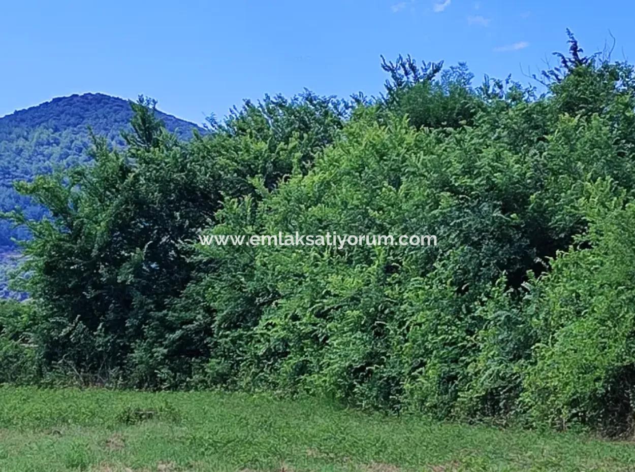 Muğla Ortaca Fevziye 8.440 M2 Land, 703 M2 Shared Field For Sale