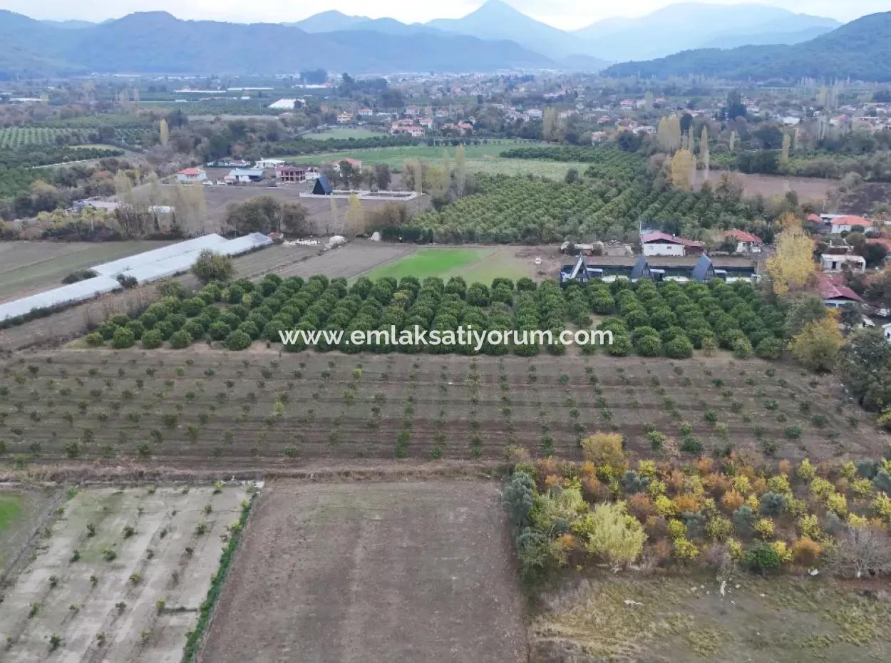 9750 M2 Land For Sale In Ortaca Okçular Zoning Plan Suitable For Investment