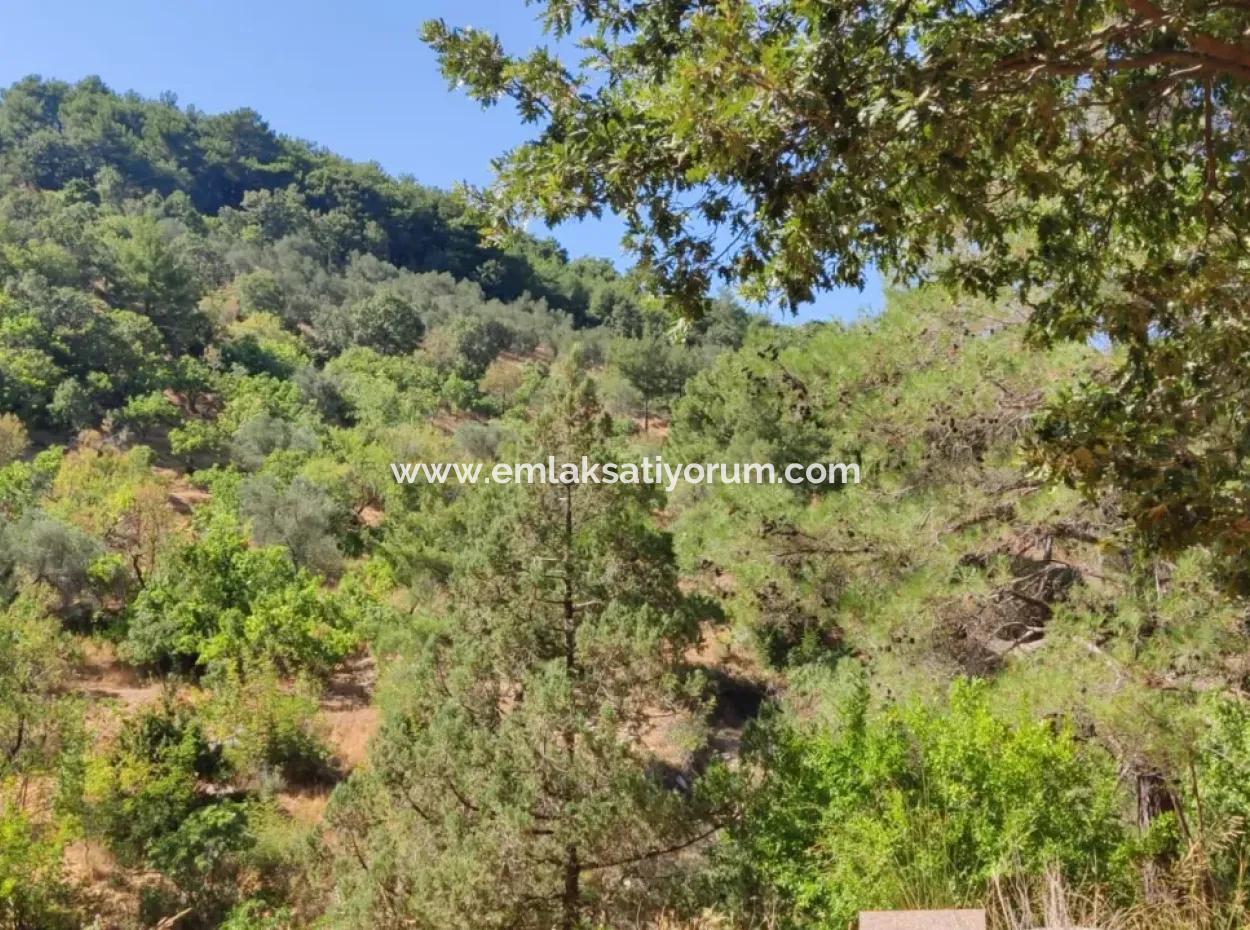 Çanakkale Ayvacık Adatepe 325 M2 Land 1 1 Tiny Detached Land For Sale