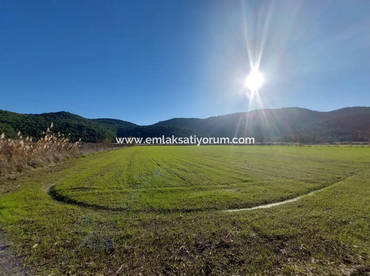 19.000 M2 Kepir Fertile Land Suitable For Investment In Ortaca Güzelyurt For Sale