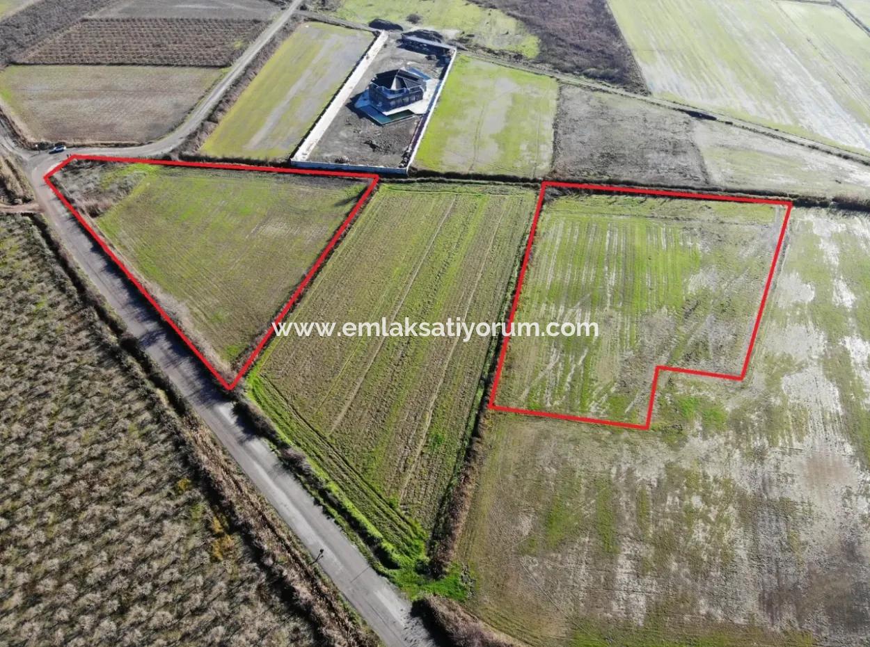 Fields Suitable For Cooperative In Ortaca Güzelyurt Are For Sale