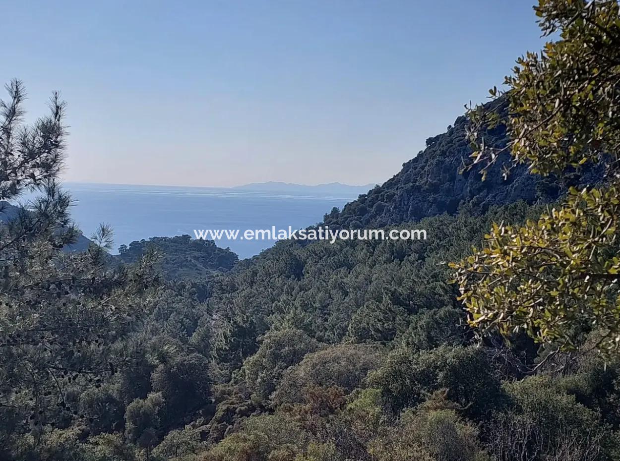 28.350 M2 Land For Sale In Ortaca Gökbelde With Detached Title Deed Sea View