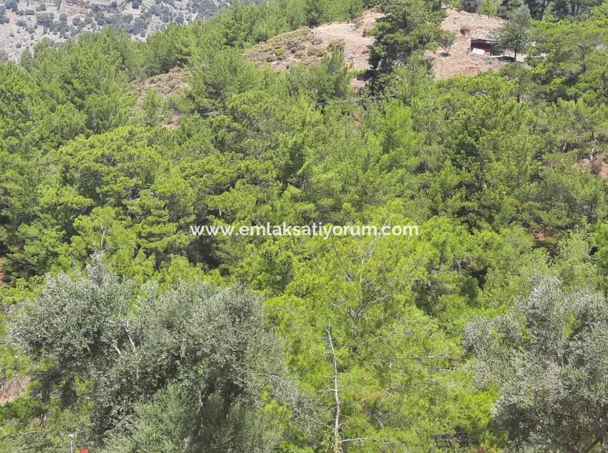 Gökbelde Detached Title Deed For Sale 239 M2