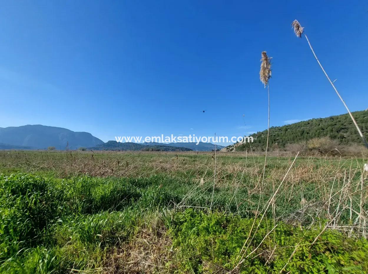 Fertile 6.350 M2 Land For Sale In Muğla Ortaca Güzelyurt