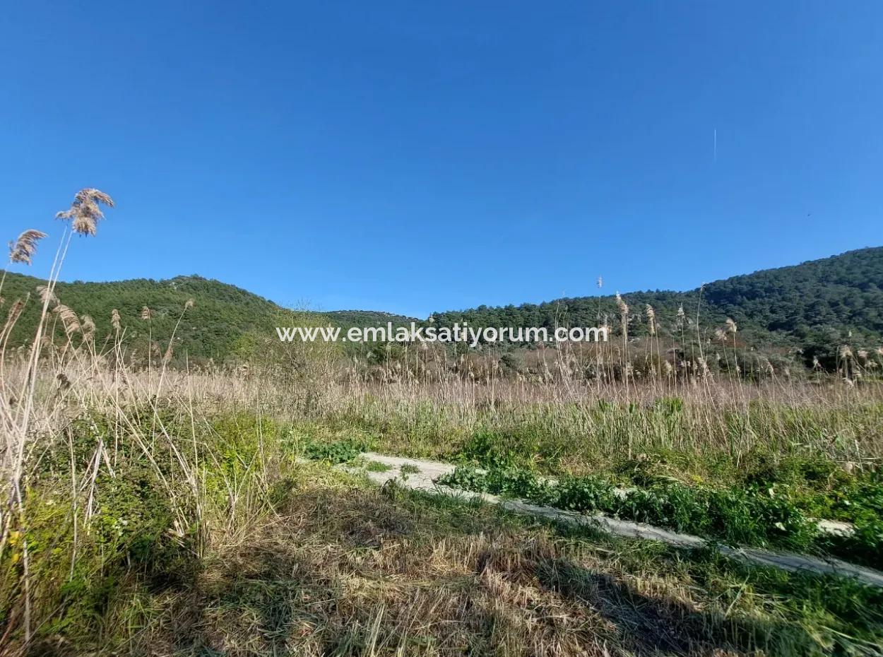 Fertile 6.350 M2 Land For Sale In Muğla Ortaca Güzelyurt