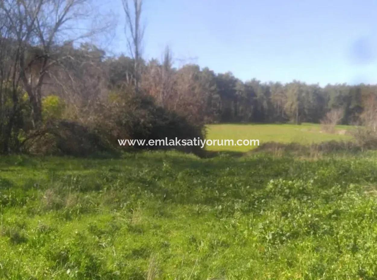 Land For Sale In Bargain Detached Zeytinalani