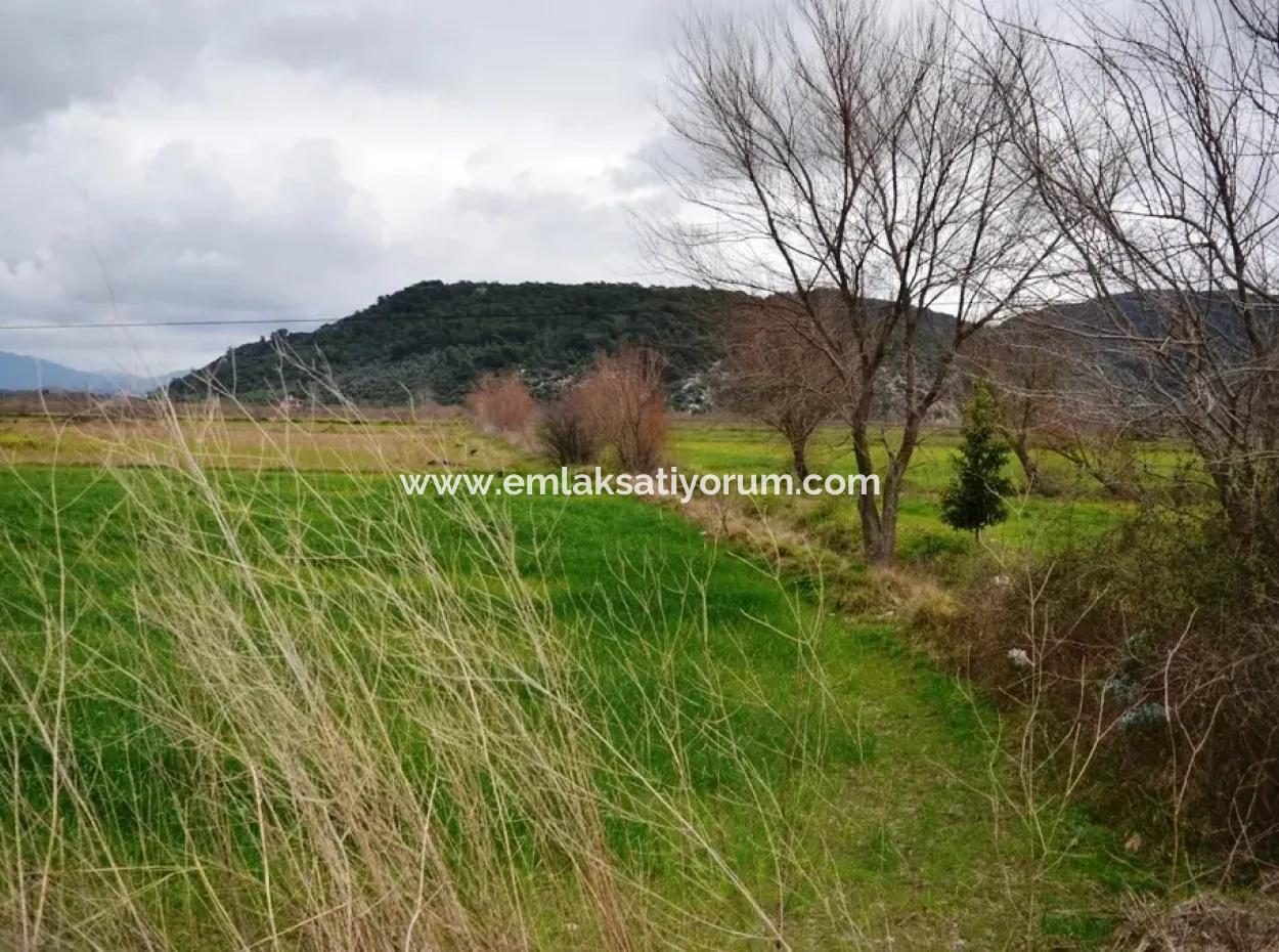 Land For Sale In Sarigerme Oriya Güzelyurt On The Path To Zero