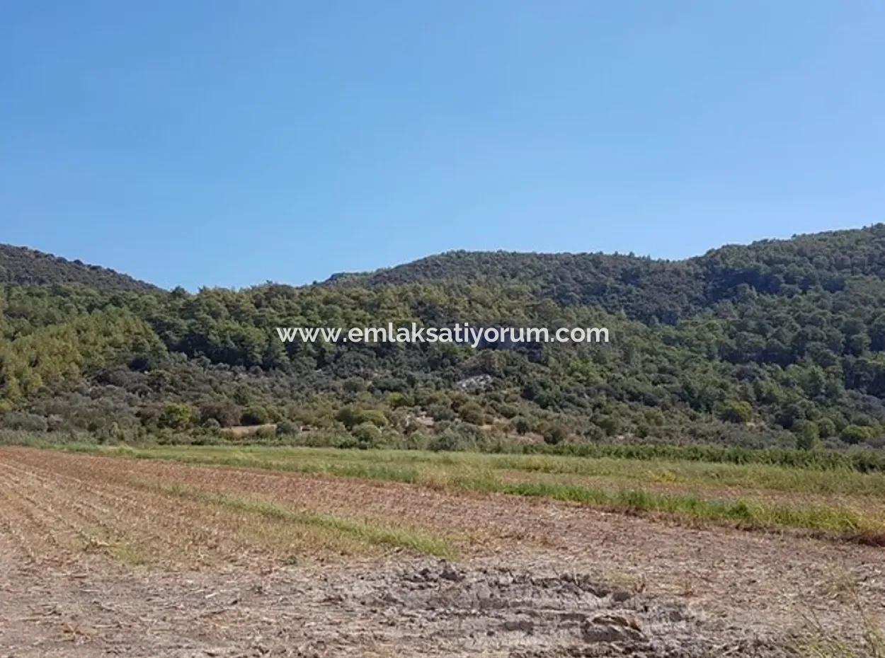 Fertile Land For Sale In Famagusta Bargain