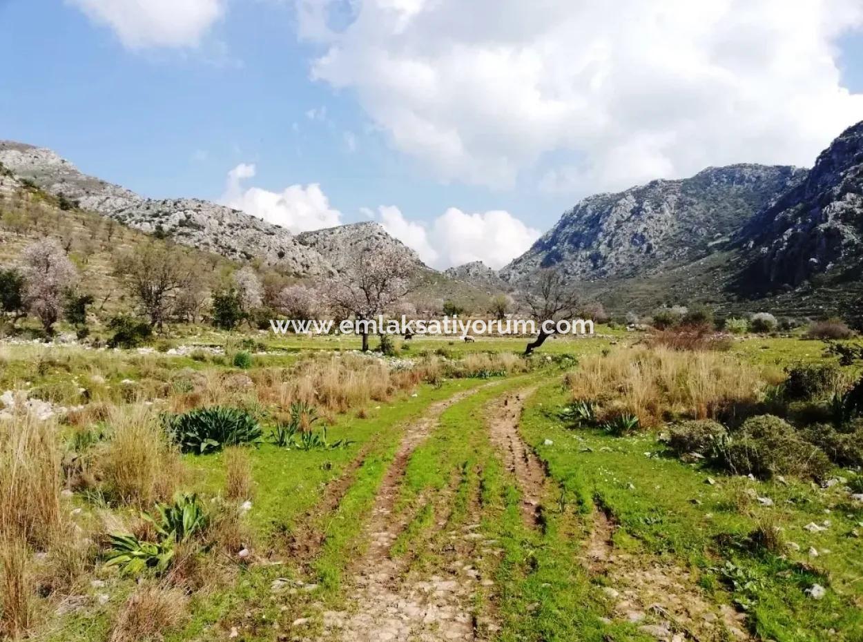 Marmaris-Bozburun For Sale In The Appropriate Field Of Investment