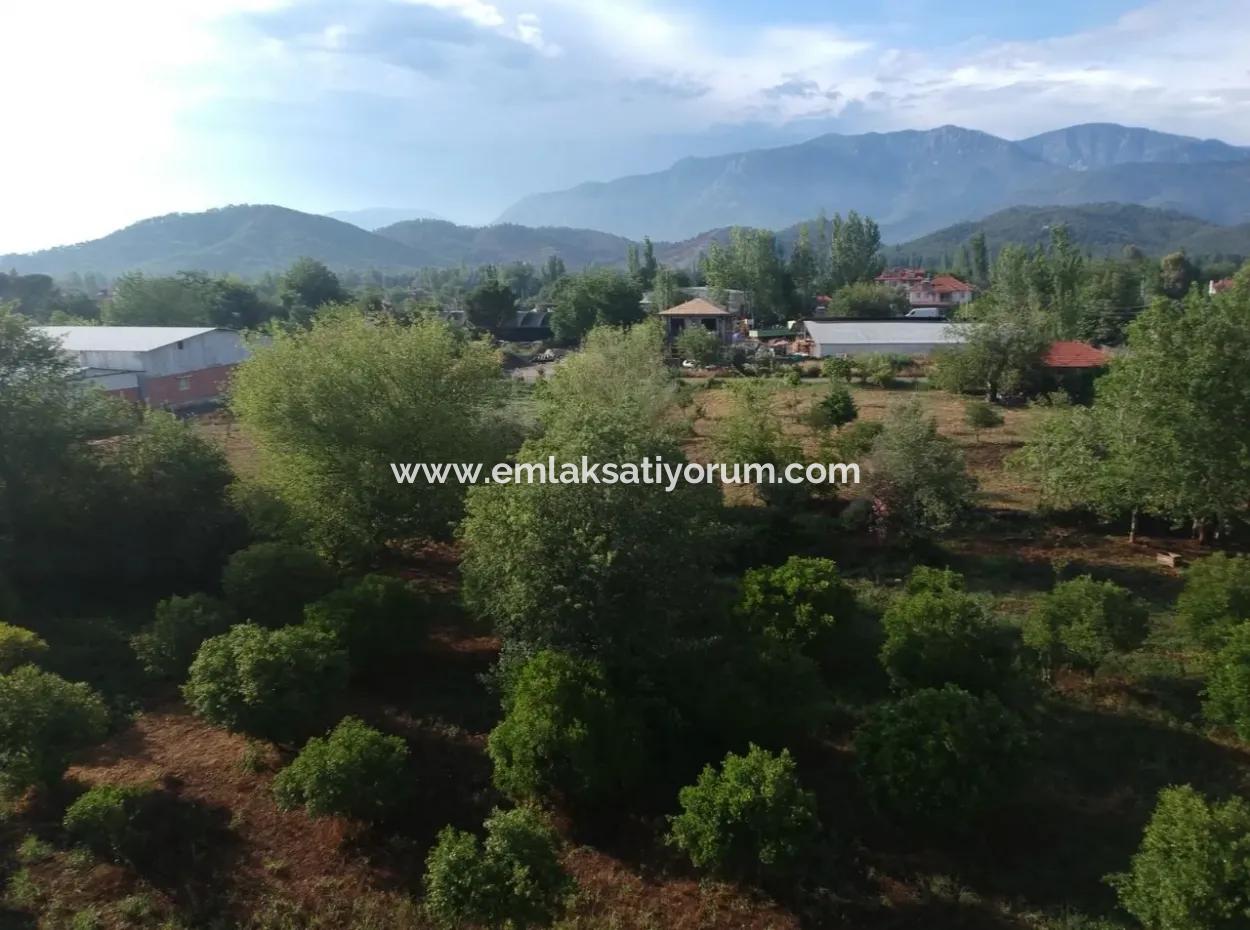 Land For Sale In Koycegiz, Plot Beyoba