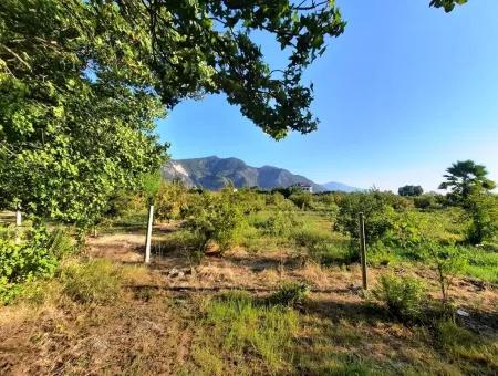 Land Suitable For Investment For Sale In Mugla Dalyan Marmarlı