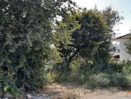 Mugla Dalyanda 500 M2 Zoning Bargain Land For Sale