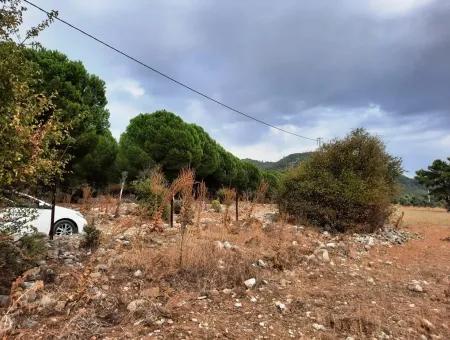 Detached Land With Lake Views For Sale In Köyceeğiz Zeytin Area