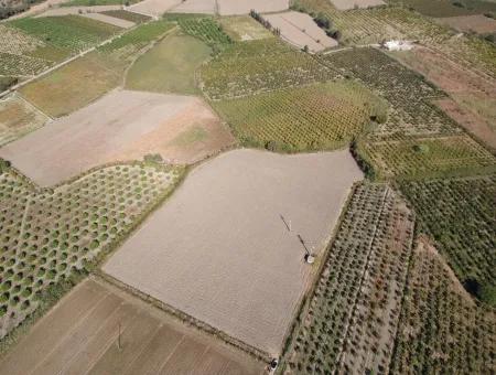 Detached Fertile Bargain Land For Sale In Ortaca Mergenli