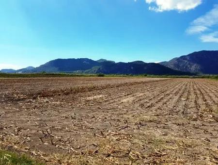 Fertile Bargain Land For Sale In Muğla Ortaca Güzelyurt