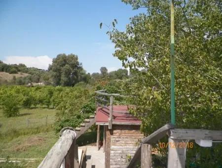 12 000 M2 Farm For Sale Certified Organic Agriculture Oriya Eskiköy