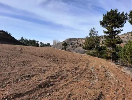 15.250 M2 Bargain Land For Sale In Denizli Çameli Cumaalan