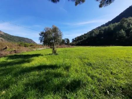 Mergenli For Sale In Ortaca Mountain Zero-Investment A Bargain Suitable Land