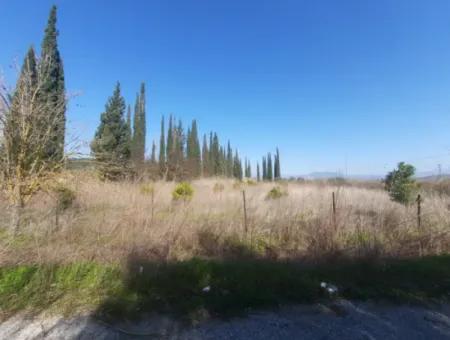 Mugla Ortaca Güzelyurt Sarıgerme Road Facing 2256 M2 Field For Sale