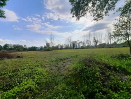 7668 M2 Bargain Land With Lake View For Sale In Köyceğiz Zeytinalani