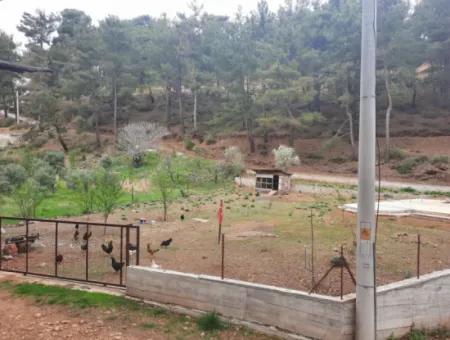 Köyceğinz Agla Yayla Opportunity 1050 M2 Zoning Land For Sale